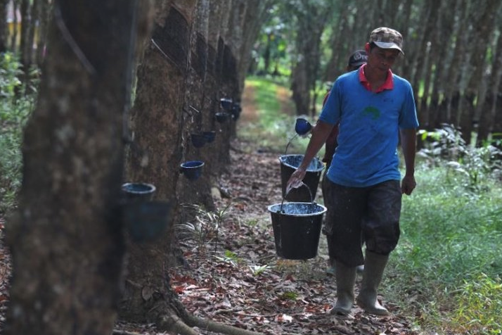 Ekspor Hasil Pertanian Sumatera Selatan Tumbuh Menjanjikan